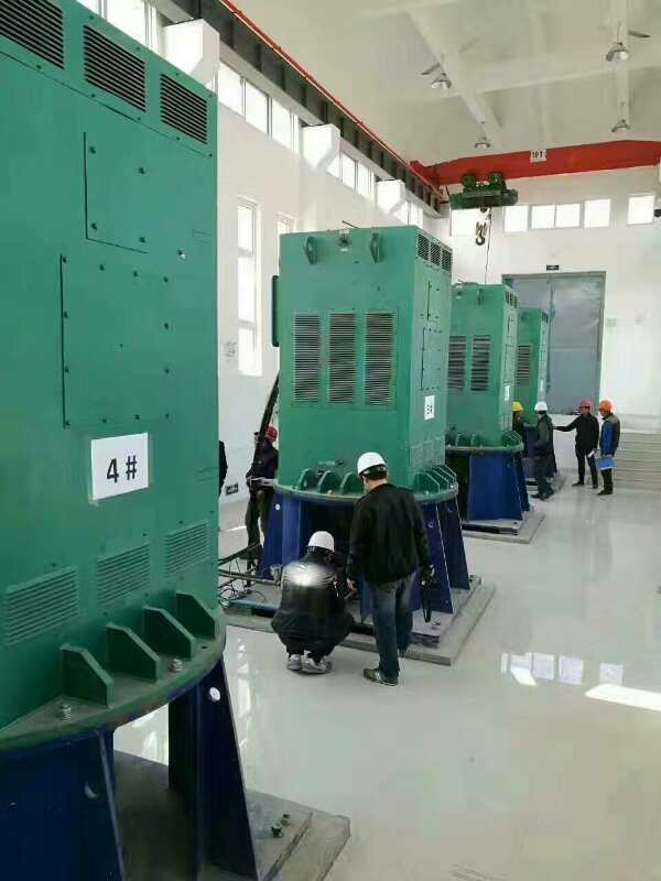 富县某污水处理厂使用我厂的立式高压电机安装现场